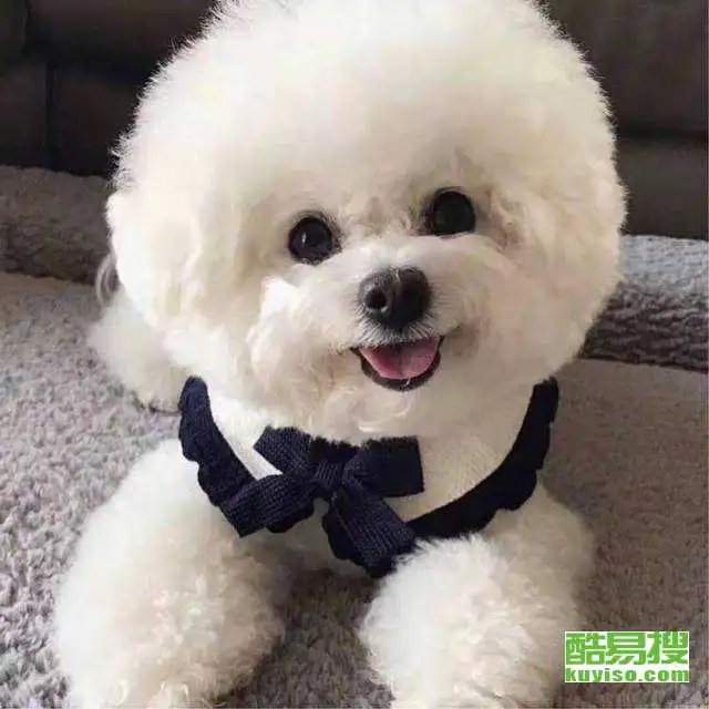 南京酷易搜