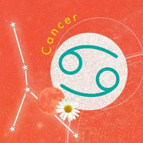 塔罗2021年12星座运势总预测财运桃花运事业运
