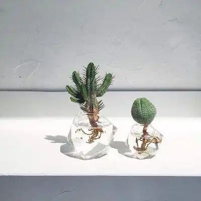 体育电子平台
