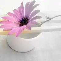 课程中心