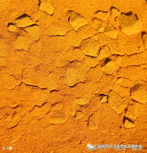 土生金的风水微信头像