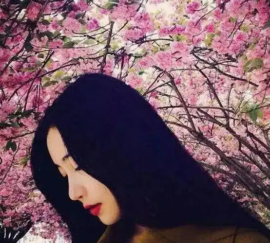 你是一种感觉,写在夏日的晚风里