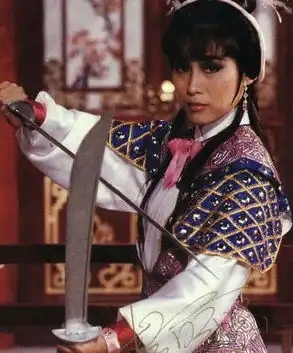 杨盼盼演穆念慈为观众熟知,角色多为女侠,还反串过江小鱼
