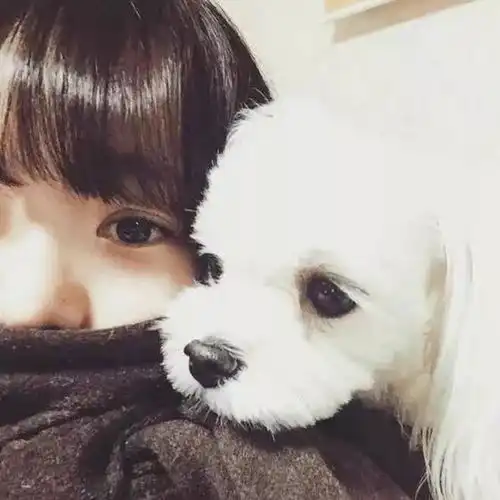 女生不想赴约看看这个你就知道了