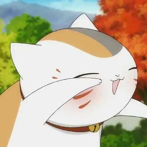 猫可以萌到什么程度
