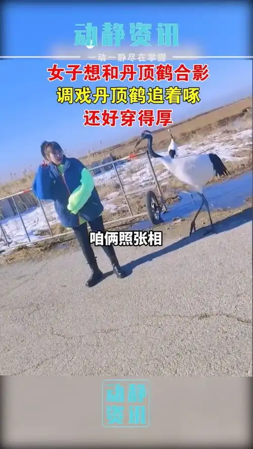 女子想和丹顶鹤合影,调戏丹顶鹤追着啄,还好穿得厚社会百态神奇动物在抖音安全意外动物丹顶鹤笑哭