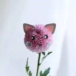 一秒钟,我的乒乓菊就变小黄人了