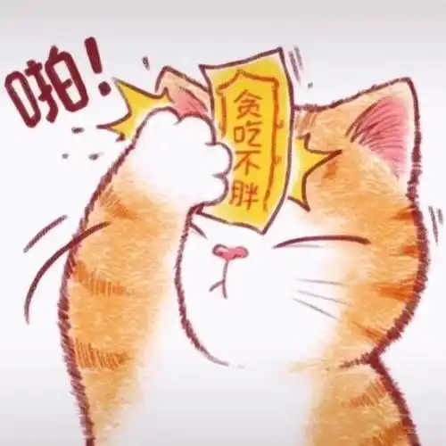 分享几只大猫猫uu