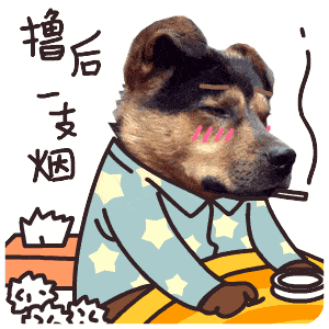 狗狗又在爬跨......作为主人的我一脸尴尬