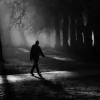 2020新版孤独微信头像微信头像图片大全