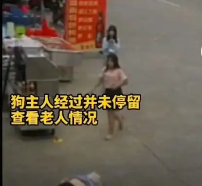 老太太被宠物狗的狗绳绊倒不幸离世,狗主人居然是一个未成年姑娘