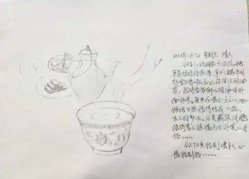 援藏日记丨漫画记录从轮椅上站起来的藏族女孩