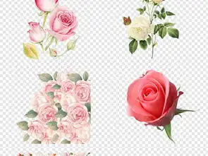 粉色唯美玫瑰花朵花瓣png透明手绘素材图片模板下载69.83mb花卉大全自然