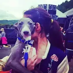 女生和狗的玩网头像