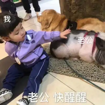 顾槿桉女孩子必备超可爱表情包1