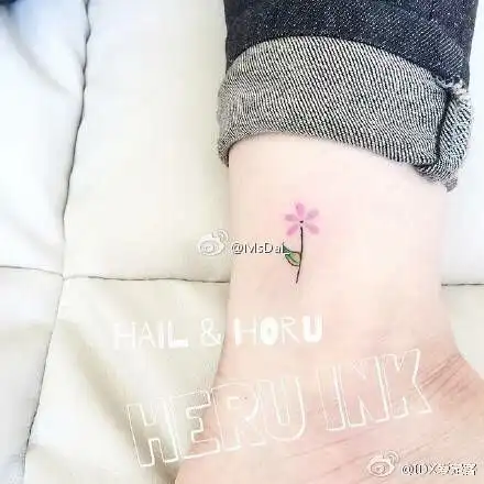我的收藏夹