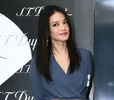 范冰冰戴墨镜干练出行2014惨遭逼婚的十大女星