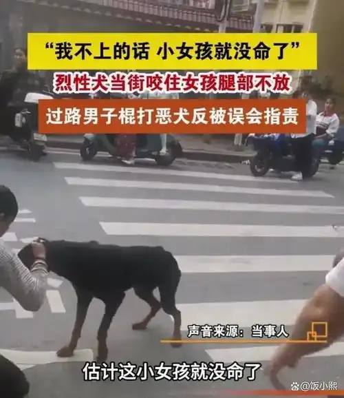 无语女孩被狗咬住,男子棍打恶犬施救被指责,爱狗人士是眼瞎吗