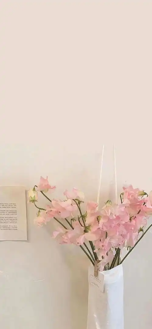 壁纸丨你没有共我踏过万里,亦没有剧情延长故事