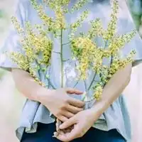 头像女花女生花朵唯美小清新头像