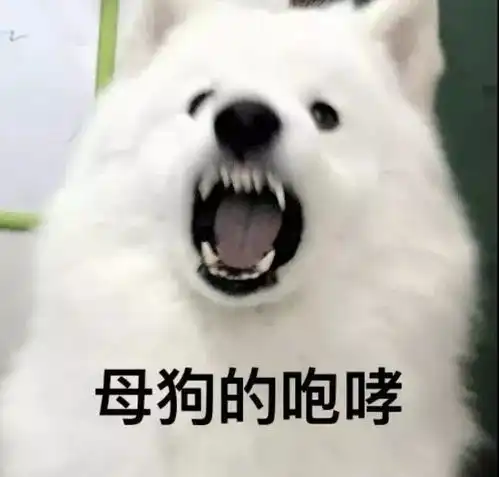 女孩家长看过来,4招教你预防母狗狗妇科病