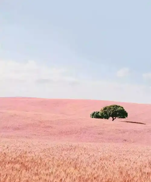 我不是最好的,但却是对你最好的...