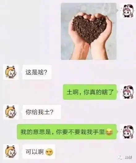 把女朋友拉进家庭群之后,群聊确定不是在说相声吗哈哈哈看了羡慕到哭