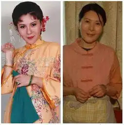 琼瑶女郎容貌巨变赵薇林心如都老了