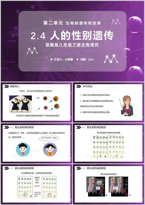 部编版八年级生物下册人的性别遗传课件ppt模板下载熊猫办公