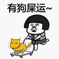 能带来好运气的微信头像图片微信头像图片大全