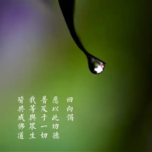 佛教故事善财童子五十三参第四十八回拜妙月长者