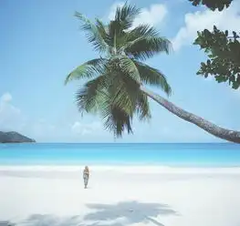 沙滩椰树图片高清图片免费下载jpg格式编号15150047千图网