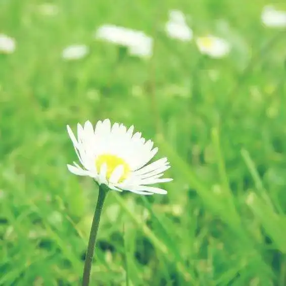 职业道德与法律第八课案例分析百度文库