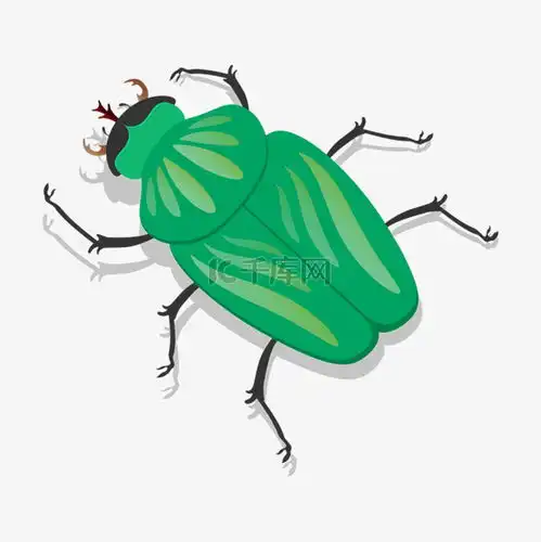 绿色黑色甲虫剪贴画素材图片免费下载千库网