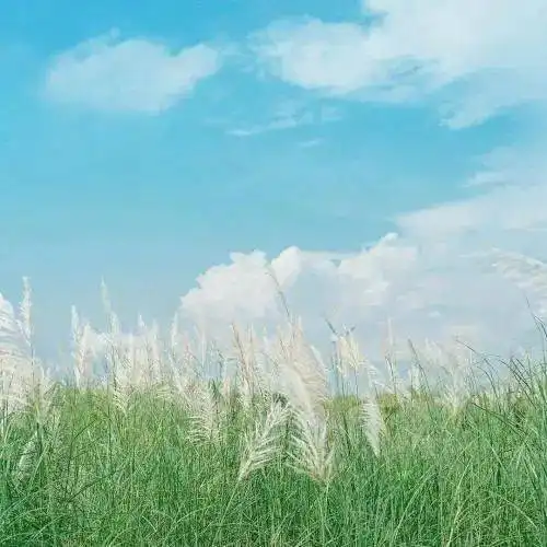 中年妇女微信头像好运建
