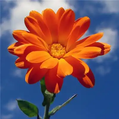 高清微信好运头像好运到可爱点