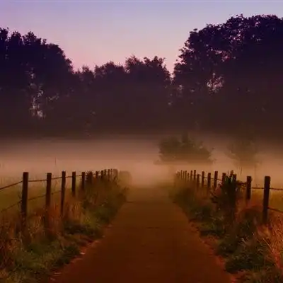 意境唯美微信头像风景森林,给每一位看到的朋友带来好心情