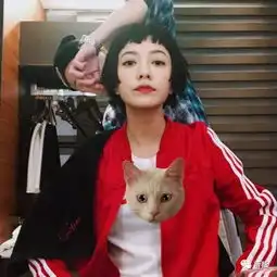 奔着郭采洁和古天乐的恋情去的,却发现她才是短发女生的行走教科书