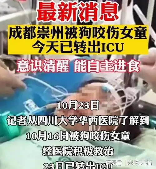 问题出来了四川被狗咬女童出icu,最新治疗费披露,退款增致3万
