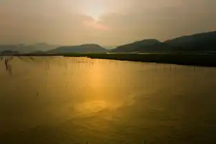 摄情无限霞光山水,浦上牧歌之三