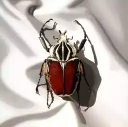 刻画入微栩栩如生的超现实主义油画作品欣赏