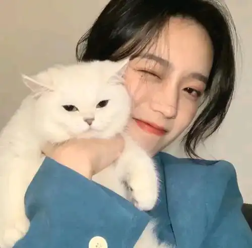 好看的小众少女头像从别的公众号扒的,拿走不谢