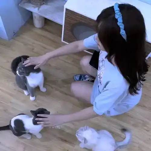 无标题