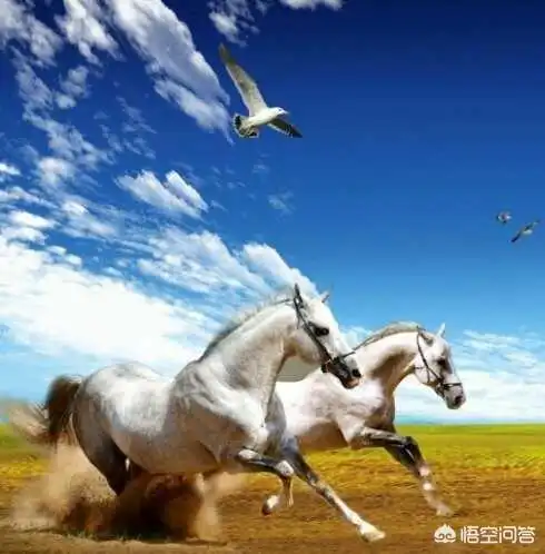 微信被黑客黑了怎么办zol问答