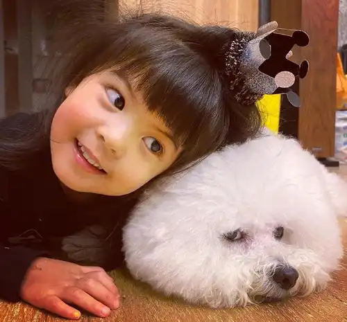小bo妞的每一次出现都能对应到一部小说里的女主角