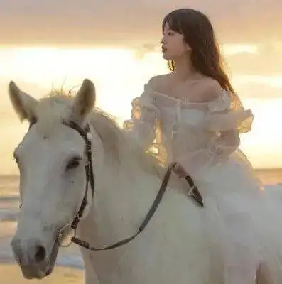 被无情的拉黑没关系,学会这个与对方强行聊天