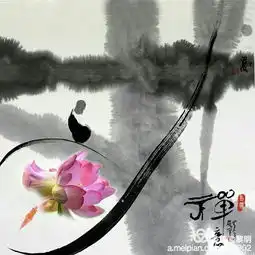 禅意莲花