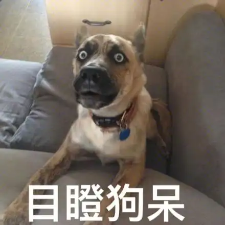 抖音双标梗介绍抖音流行双标梗有哪些汇总