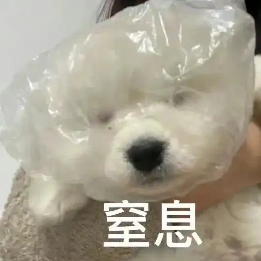 最近存的一些表情包