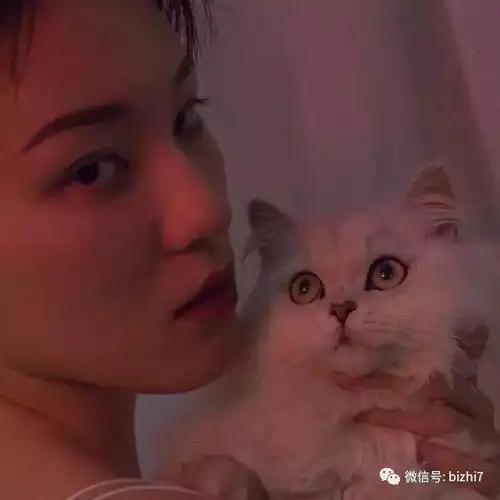 少女和猫咪动漫头像
